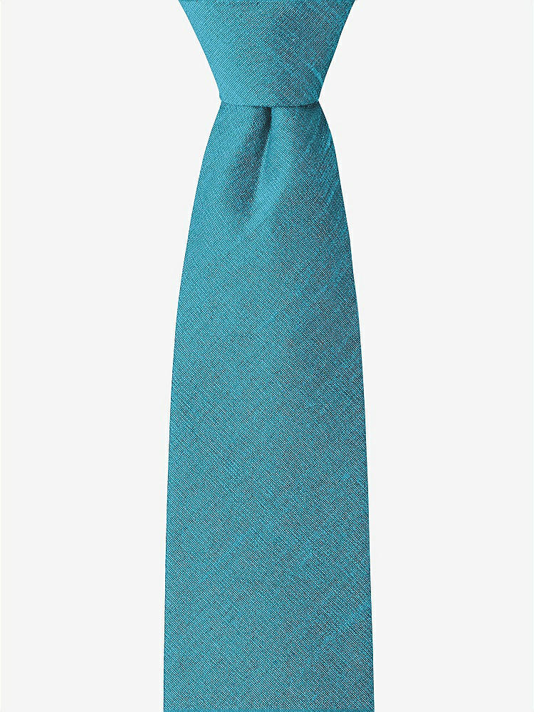 Front View - Fusion Dupioni Boy's 14" Zip Necktie by After Six