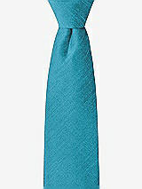 Front View Thumbnail - Fusion Dupioni Boy's 14" Zip Necktie by After Six
