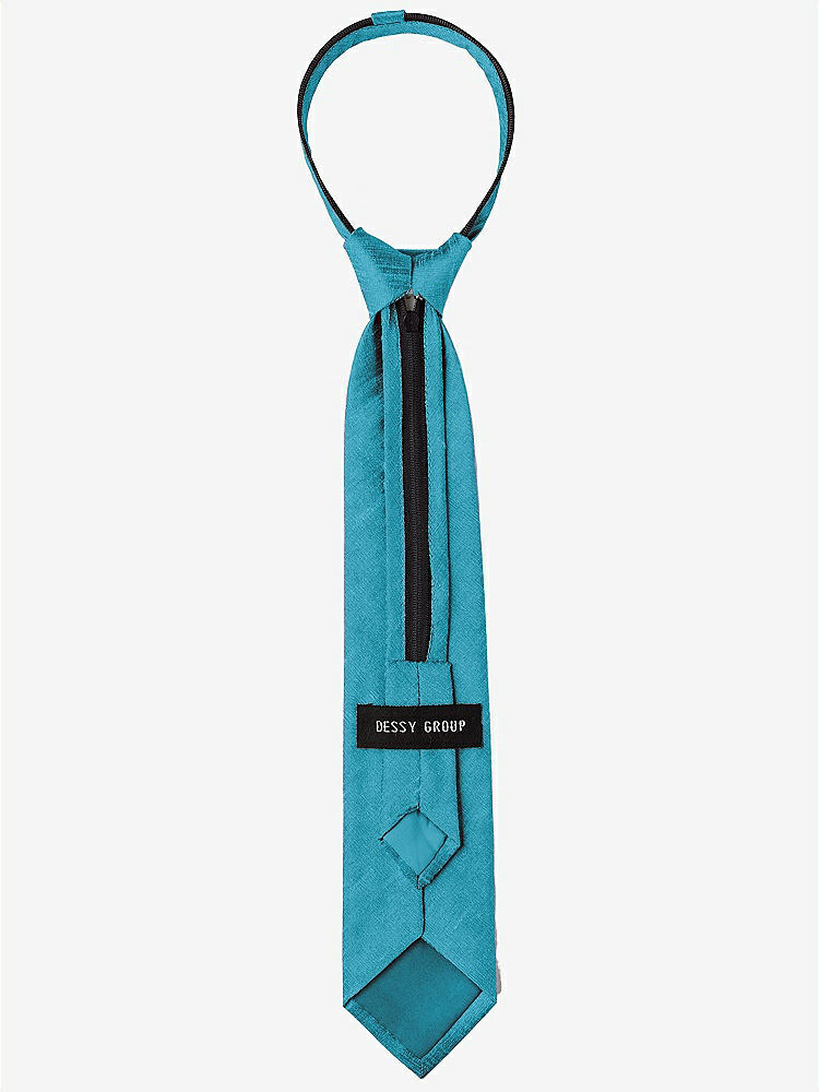 Back View - Fusion Dupioni Boy's 14" Zip Necktie by After Six