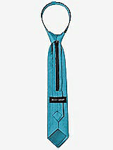 Rear View Thumbnail - Fusion Dupioni Boy's 14" Zip Necktie by After Six