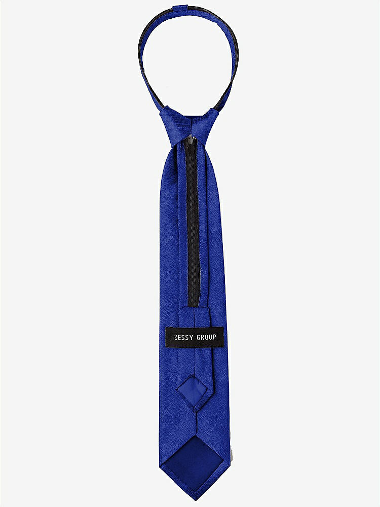 Back View - Royal Dupioni Boy's 14" Zip Necktie by After Six