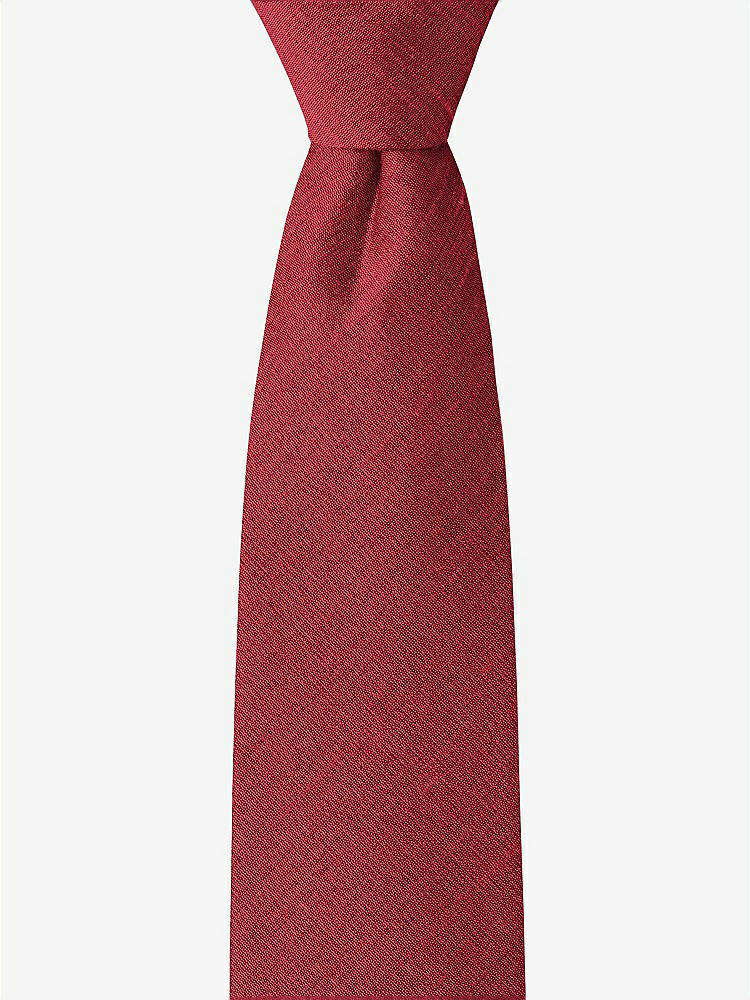 Front View - Barcelona Dupioni Boy's 14" Zip Necktie by After Six