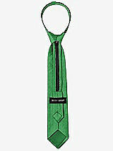 Rear View Thumbnail - Ivy Dupioni Boy's 14" Zip Necktie by After Six