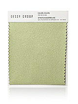 Front View Thumbnail - Mint Stretch Charmeuse Swatch