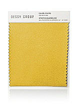 Front View Thumbnail - Marigold Stretch Charmeuse Swatch