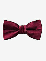 Front View Thumbnail - Cabernet Yarn-Dyed Boy's Bow Tie by After Six