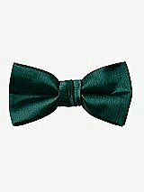 Front View Thumbnail - Evergreen Yarn-Dyed Boy's Bow Tie by After Six