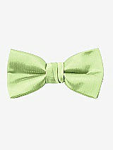 Front View Thumbnail - Pistachio Yarn-Dyed Boy's Bow Tie by After Six