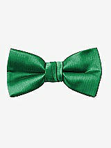 Front View Thumbnail - Shamrock Yarn-Dyed Boy's Bow Tie by After Six