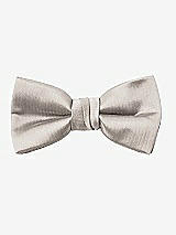 Front View Thumbnail - Taupe Yarn-Dyed Boy's Bow Tie by After Six