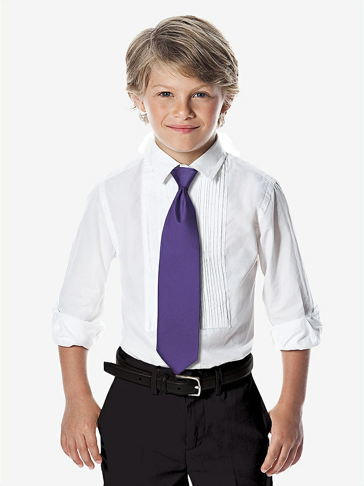 Front View - Regalia - PANTONE Ultra Violet Yarn-Dyed Boy's Slider Tie by After Six