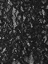 Front View Thumbnail - Black Rococo Metallic Lace Fabric by the yard
