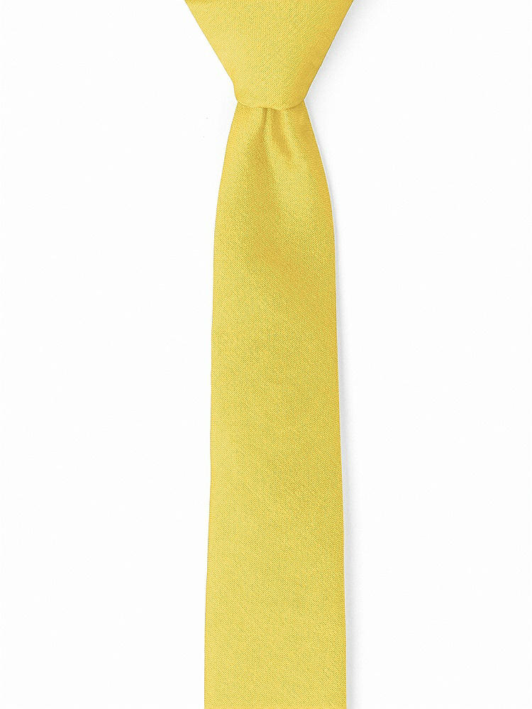Front View - Daffodil Peau de Soie Narrow Ties by After Six