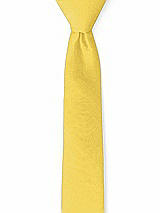 Front View Thumbnail - Daffodil Peau de Soie Narrow Ties by After Six