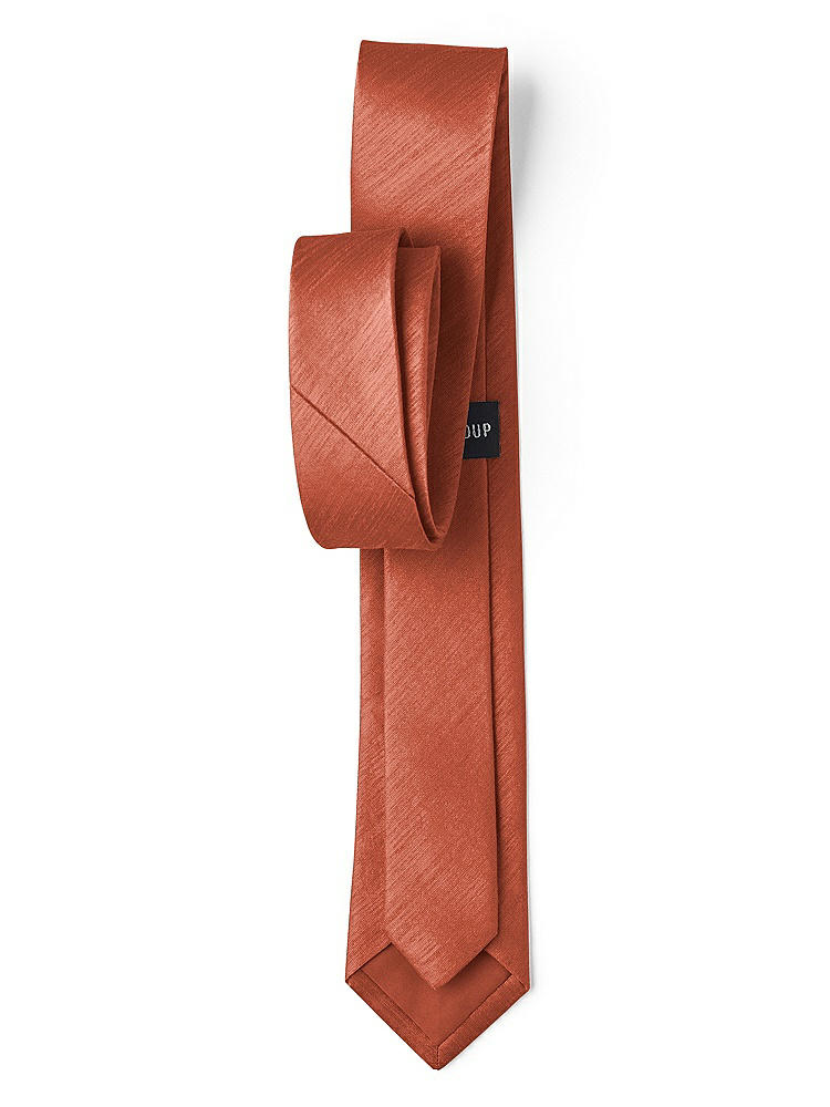 Back View - Burnt Orange Dupioni Narrow Ties by After Six