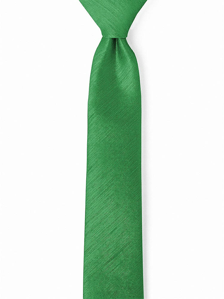 Front View - Ivy Dupioni Narrow Ties by After Six