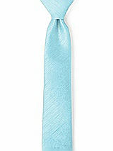 Front View Thumbnail - Skylark Dupioni Narrow Ties by After Six