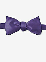 Front View Thumbnail - Regalia - PANTONE Ultra Violet Matte Satin Bow Ties by After Six