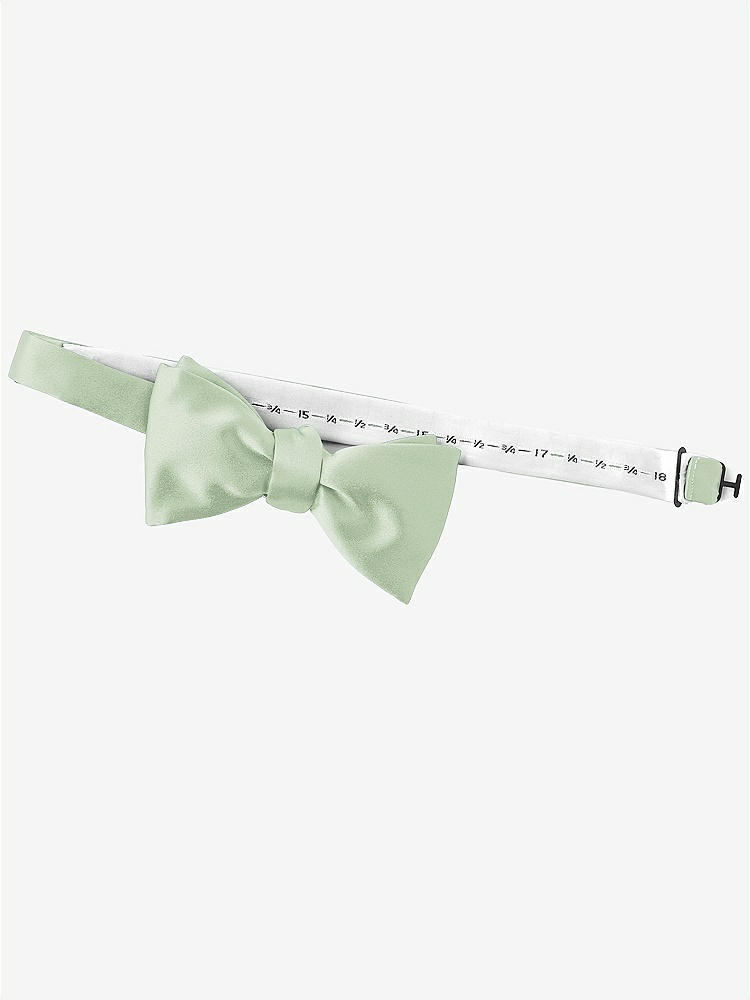 Back View - Celadon Matte Satin Bow Ties by After Six
