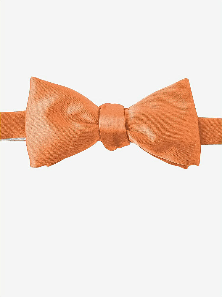 Front View - Clementine Matte Satin Bow Ties by After Six
