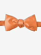 Front View Thumbnail - Clementine Matte Satin Bow Ties by After Six