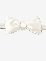 Front View Thumbnail - Ivory Matte Satin Bow Ties by After Six