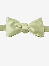Front View Thumbnail - Mint Matte Satin Bow Ties by After Six