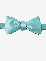 Front View Thumbnail - Spa Matte Satin Bow Ties by After Six