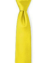 Front View Thumbnail - Citrus Matte Satin Neckties by After Six