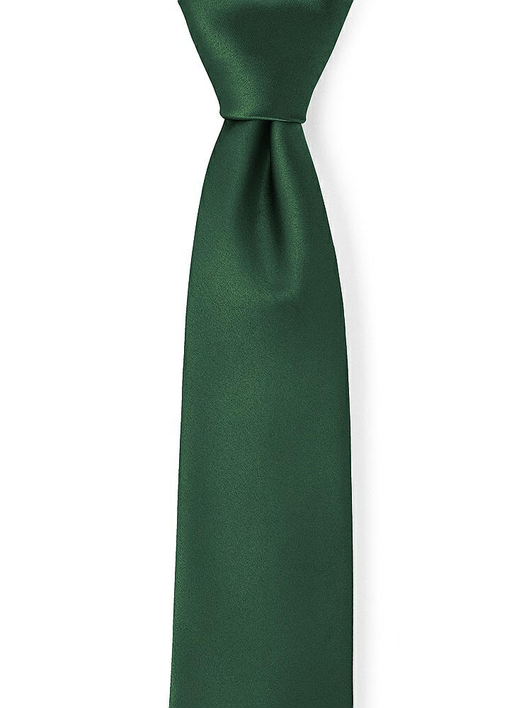 Front View - Hampton Green Matte Satin Neckties by After Six