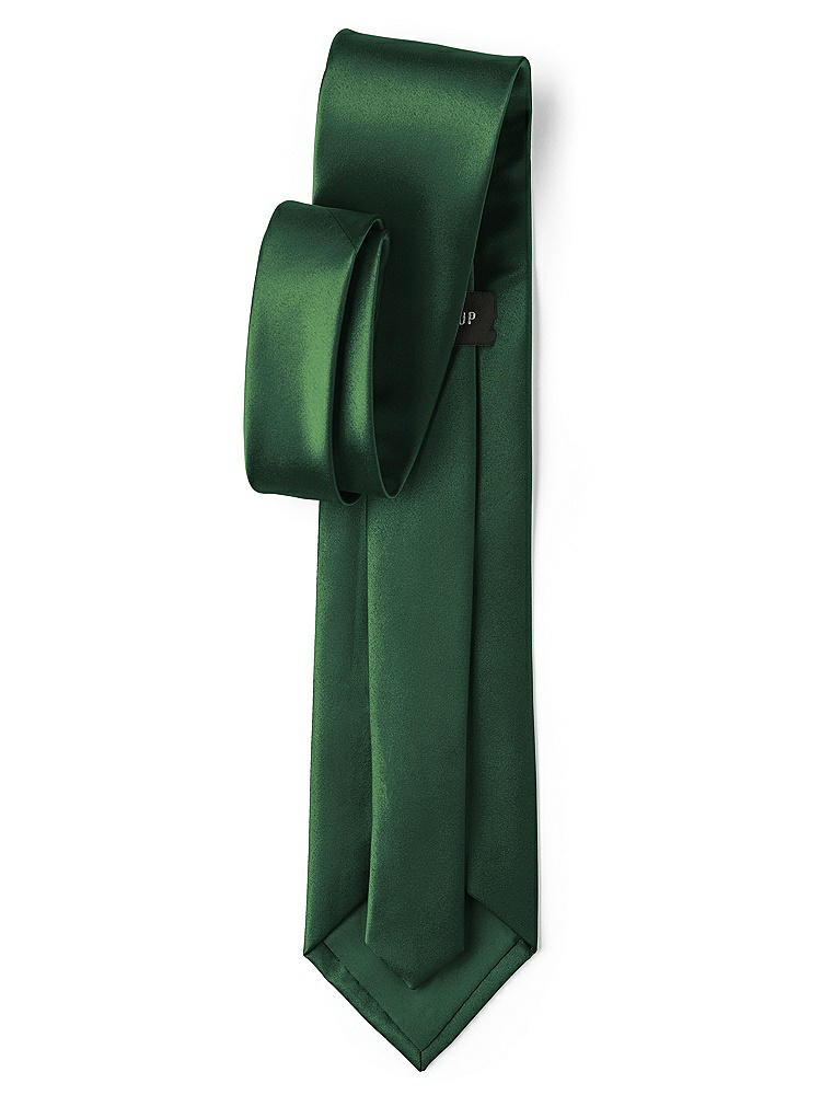 Back View - Hampton Green Matte Satin Neckties by After Six