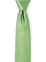 Front View Thumbnail - Apple Slice Matte Satin Neckties by After Six