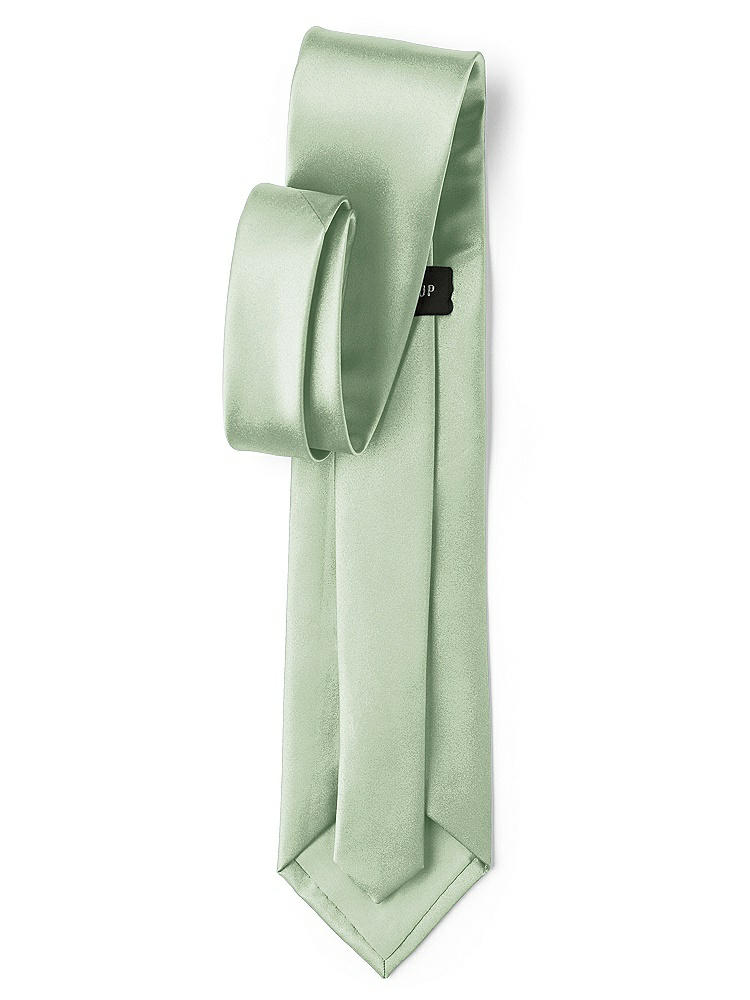 Back View - Celadon Matte Satin Neckties by After Six