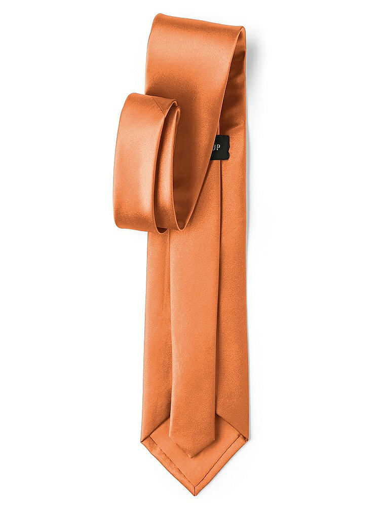 Back View - Clementine Matte Satin Neckties by After Six