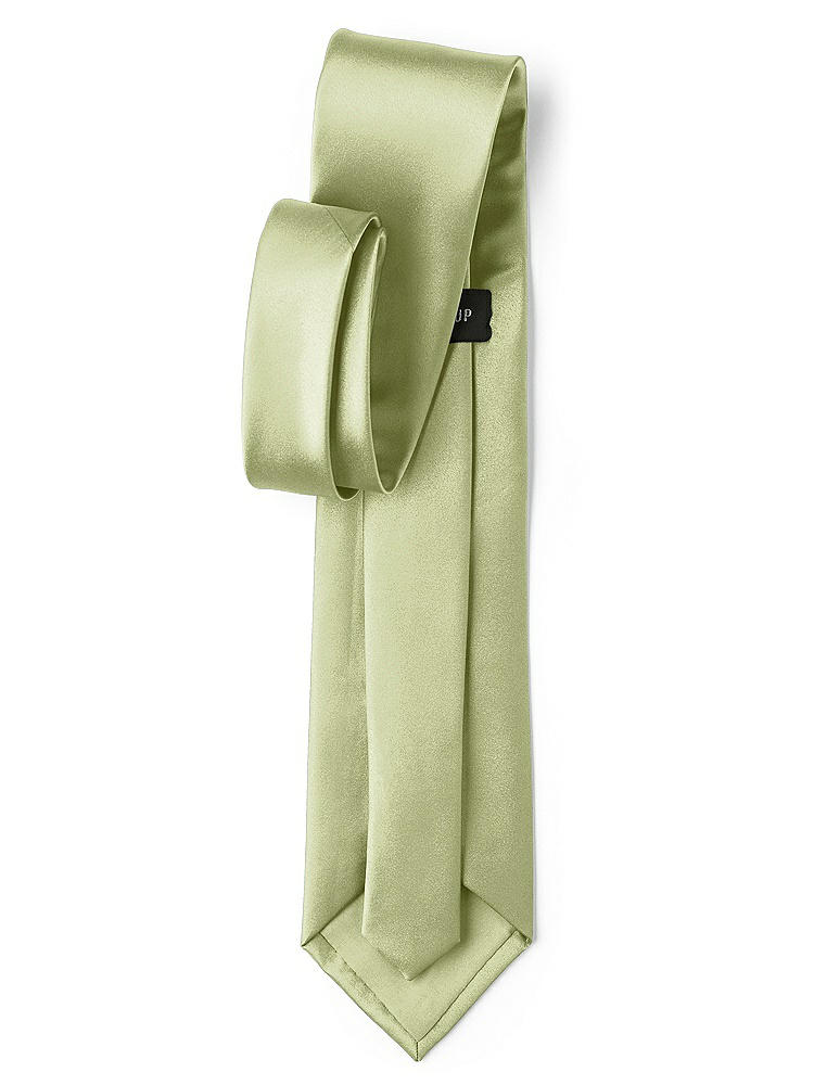 Back View - Mint Matte Satin Neckties by After Six