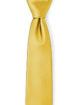 Front View Thumbnail - Marigold Matte Satin Neckties by After Six