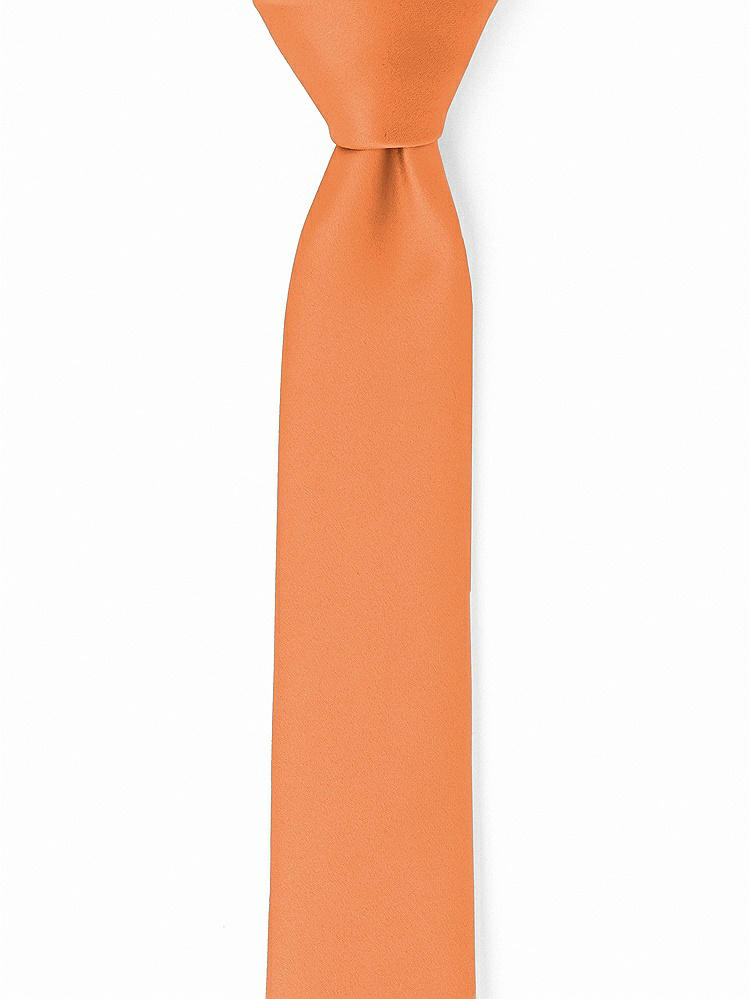 Front View - Clementine Matte Satin Narrow Ties by After Six