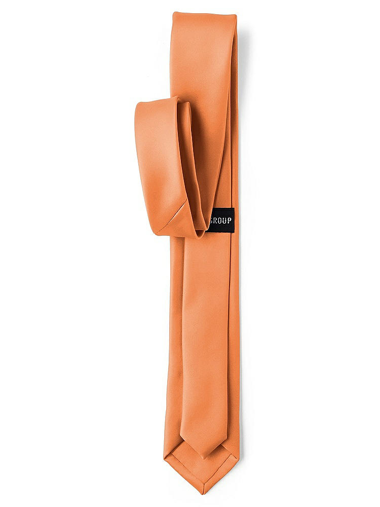 Back View - Clementine Matte Satin Narrow Ties by After Six