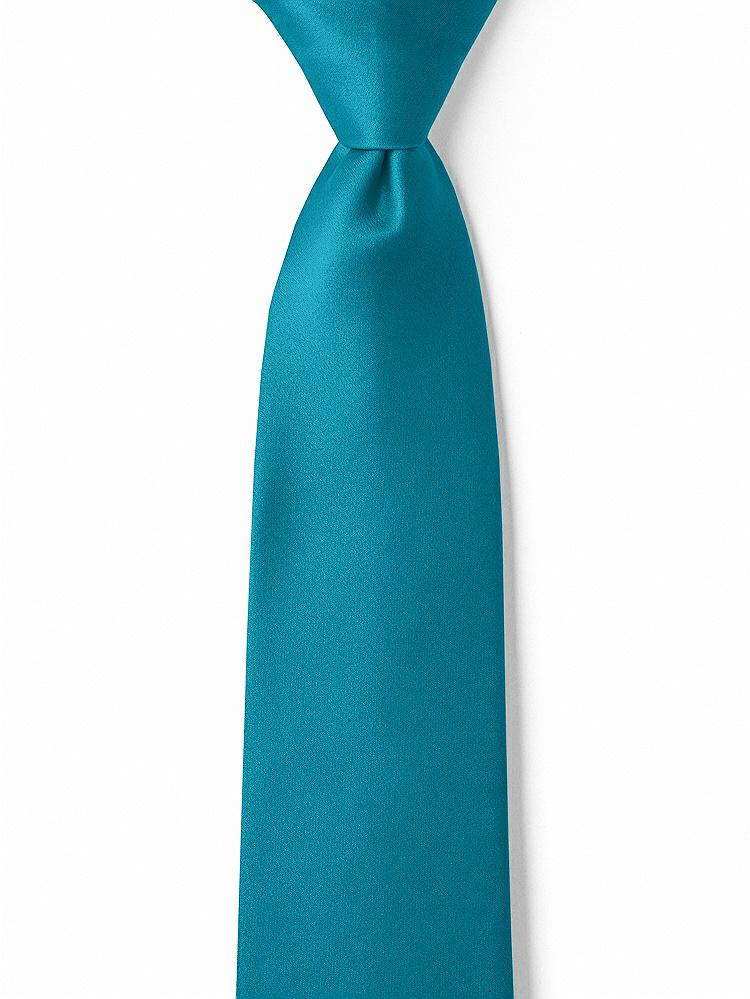 Front View - Oasis Matte Satin Boy's 14" Zip Necktie by After Six