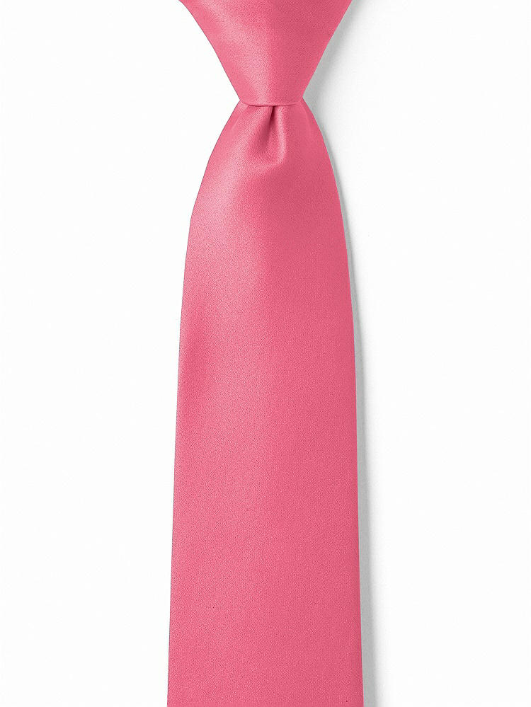 Front View - Punch Matte Satin Boy's 14" Zip Necktie by After Six