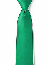 Front View Thumbnail - Pantone Emerald Matte Satin Boy's 14" Zip Necktie by After Six