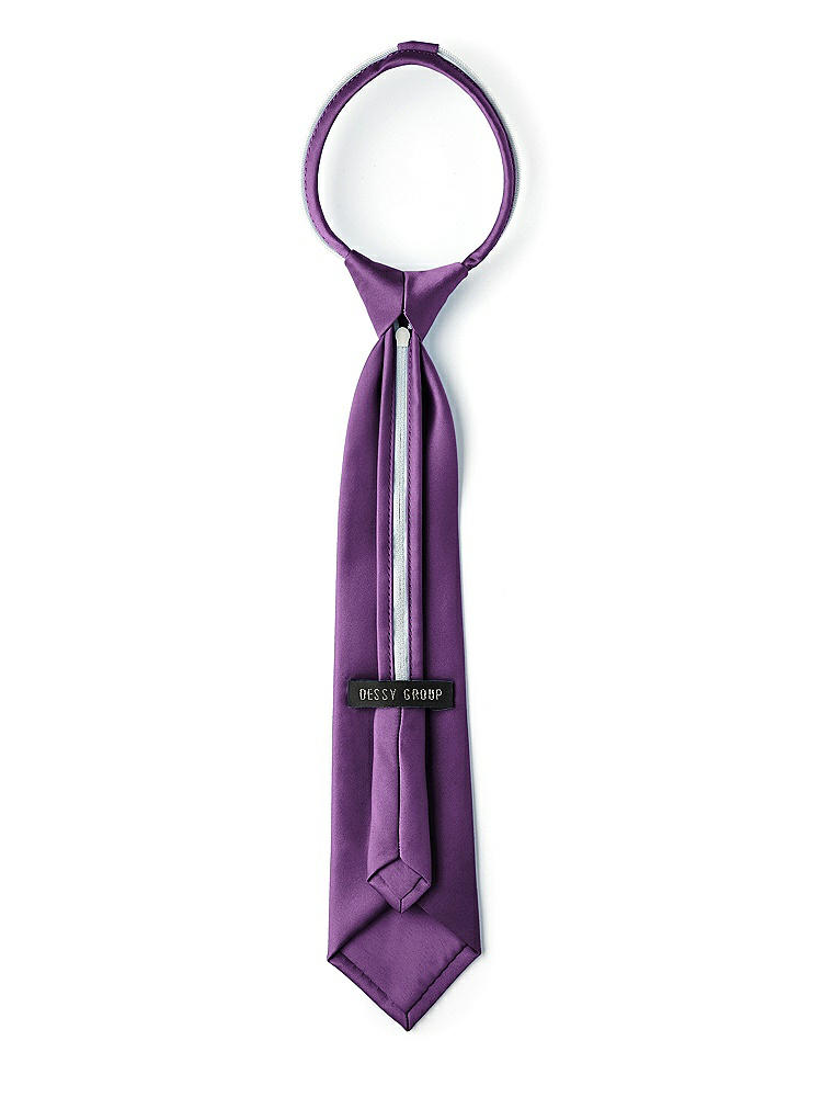 Back View - African Violet Matte Satin Boy's 14" Zip Necktie by After Six
