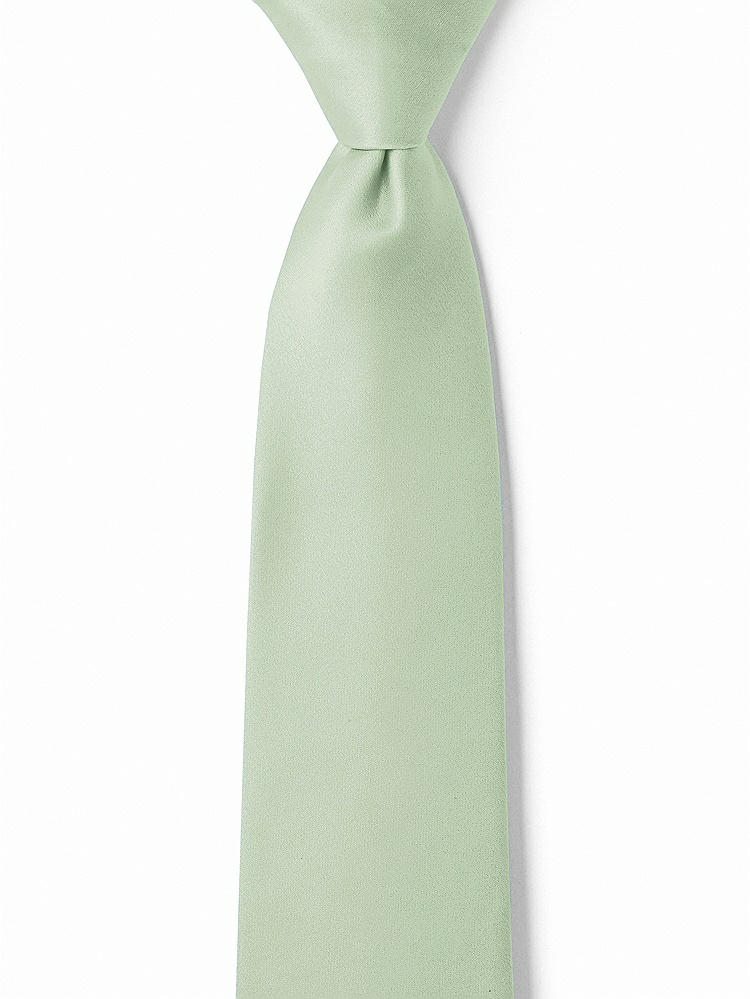 Front View - Celadon Matte Satin Boy's 14" Zip Necktie by After Six