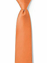 Front View Thumbnail - Clementine Matte Satin Boy's 14" Zip Necktie by After Six