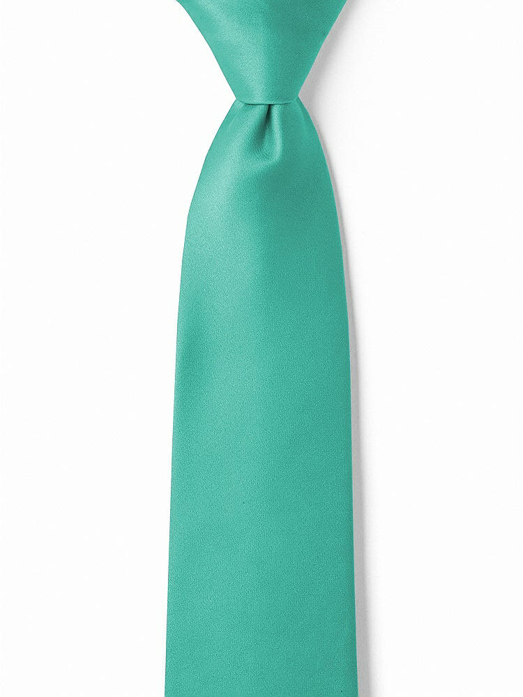 Front View - Pantone Turquoise Matte Satin Boy's 14" Zip Necktie by After Six