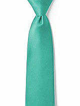 Front View Thumbnail - Pantone Turquoise Matte Satin Boy's 14" Zip Necktie by After Six
