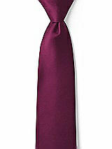 Front View Thumbnail - Ruby Matte Satin Boy's 14" Zip Necktie by After Six