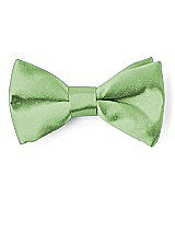 Front View Thumbnail - Apple Slice Matte Satin Boy's Clip Bow Tie by After Six