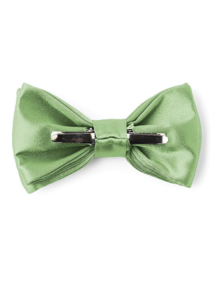 Back View - Apple Slice Matte Satin Boy's Clip Bow Tie by After Six