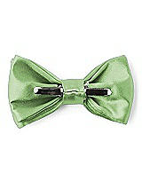Rear View Thumbnail - Apple Slice Matte Satin Boy's Clip Bow Tie by After Six